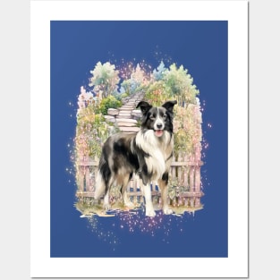 Dog - Border Collie Posters and Art